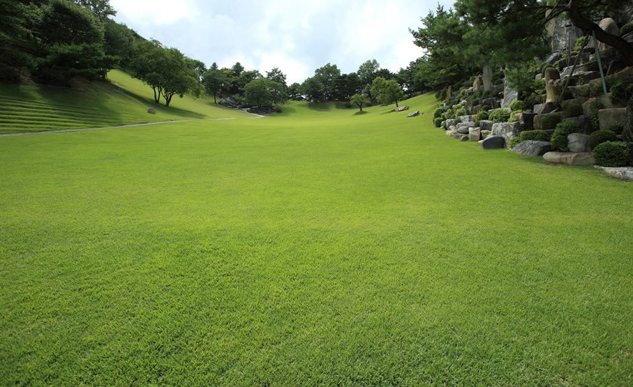 月明洞阳光草坪