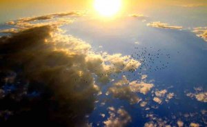 摄理爱主情人节之神的爱如太阳炙热