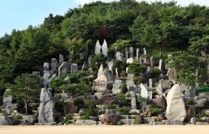 月明洞野心作
