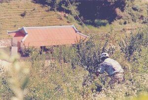 摄理新闻_郑明析牧师前往首尔传道故事