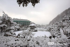 攝理月明洞_美丽雪景