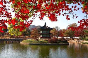 摄理新闻_郑梦周_开城市