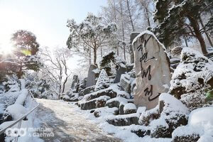 摄理月明洞_白雪国度