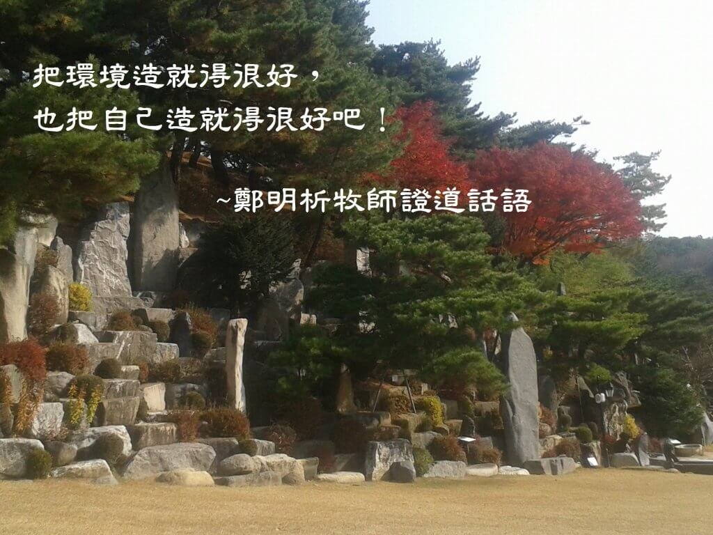 摄理箴言_祷告神迹松_月明洞_造就