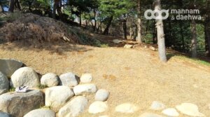 摄理月明洞_71届植树节活动_朝山