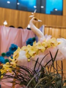 摄理见证_花博参展_花与鸟