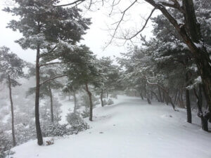 摄理月明洞雪景_棱线